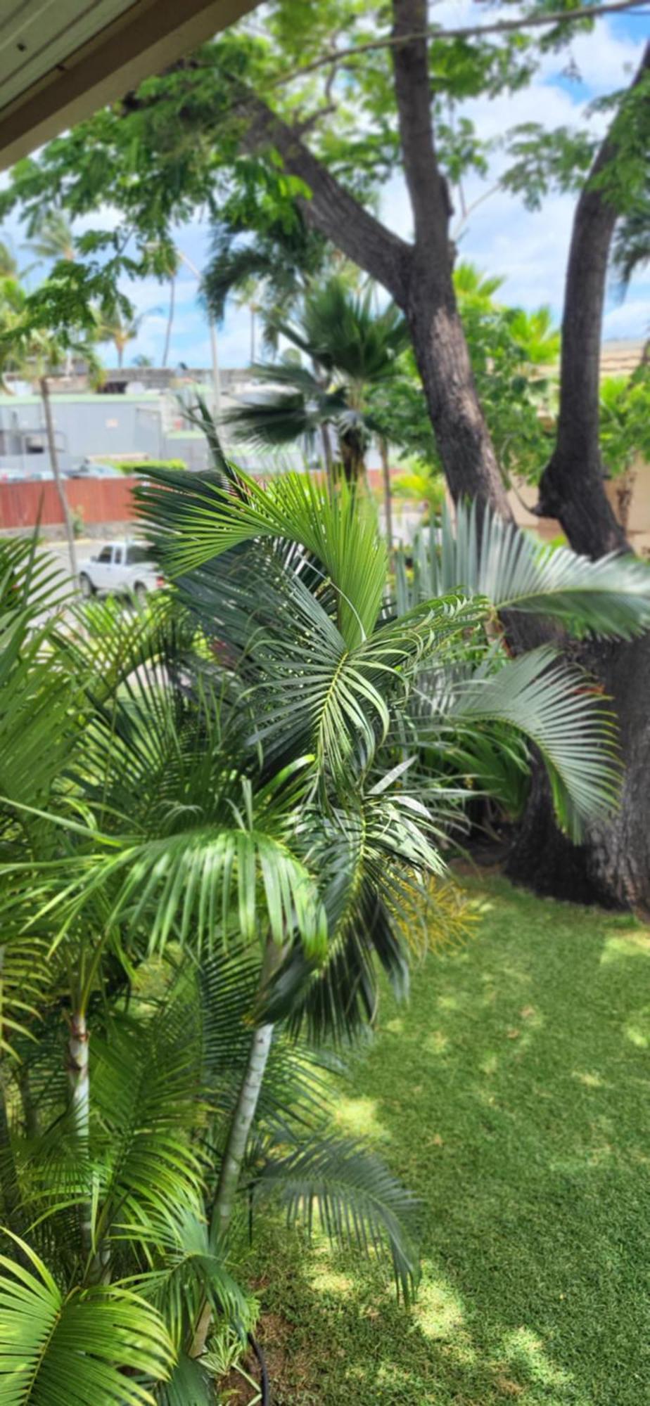 Apartamento Kai Nani Kihei